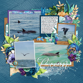 WEB_2023_Vacation_Ocean-Wildlife.jpg