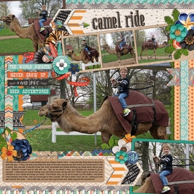 WEB_4-12-15_CamelRide-cs_HP115-sckcb_WildChild.jpg