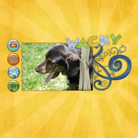 Wacky-Silly-Crazy-Happy-Pup.jpg