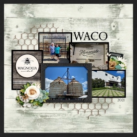 Waco-Magnolia_Market.jpg