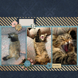 Waking_up1.jpg