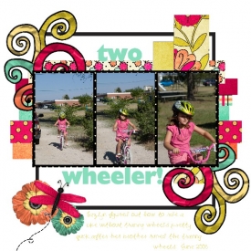 Web_2wheeler.jpg