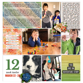 Week-12-Left3.jpg