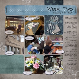 Week-2web.jpg