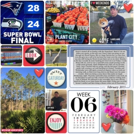 Week-6-Feb-1-to-7-merged-left-gallery.jpg