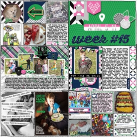 Week15A-web690.jpg