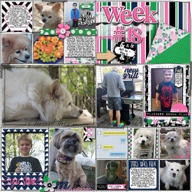 Week18A-web.jpg