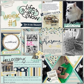 Week1A-web700.jpg