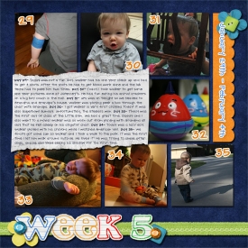 Week5Web2.jpg