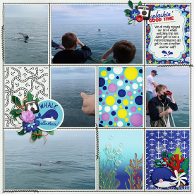 WhaleWatching_SSD.jpg