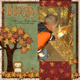 What_a_Hoot_600.jpg