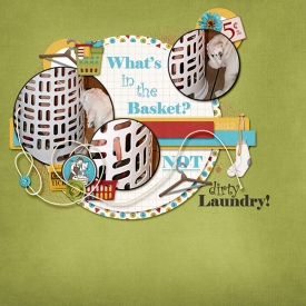 Whats_in_the_basket.jpg