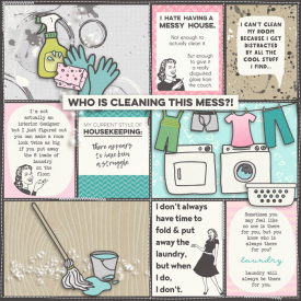 WhoIsCleaningThisMessweb.jpg