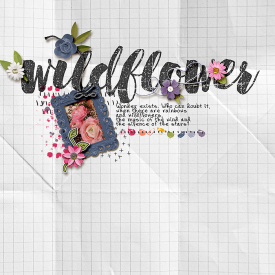 WildFlower-Web1.jpg