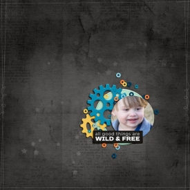 Wild_FreeBoy.jpg