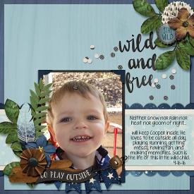 WildandFree2016Web.jpg