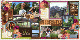 Wilderness-Lodge-web.gif