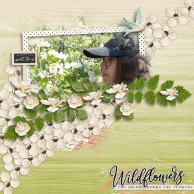 Wildflowersweb.jpg