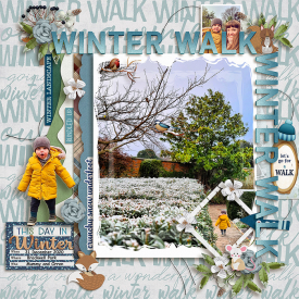 Winter-Walk-cmg-wendyp-winterwalk-700.jpg