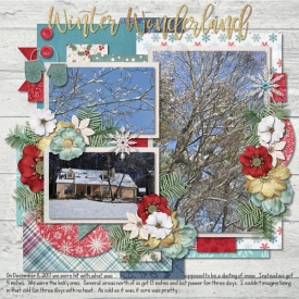 Winter-Wonderland-web1.jpg