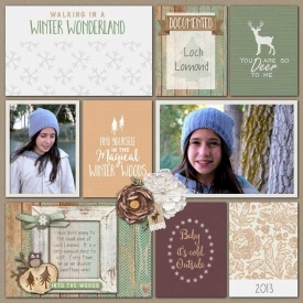 Winter-WoodlandPS_zpss3837qrp.jpg