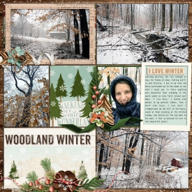 Winter-Woods.jpg