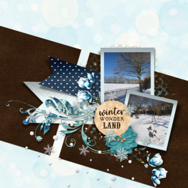 WinterWonderLandweb4.jpg