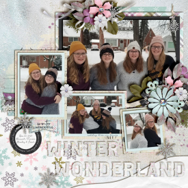 Winter_Wonderland_Dec_25_2020_smaller.jpg