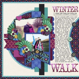 Winterwalksmall.jpg