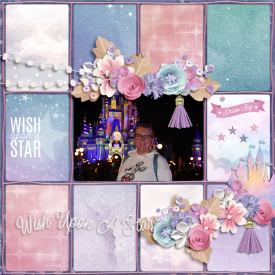 WishUponAStarweb.jpg