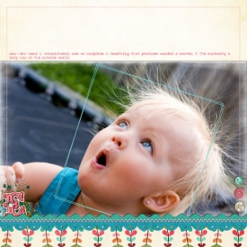 Wonderment_WEB.jpg