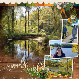 WoodsWalk2_rach3975.jpg