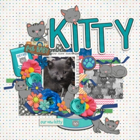 Wordle_Layout_-_Kitty.jpg