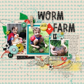 Worm-farm.jpg