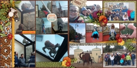 Zoo_Monkey_family_Toledo_March_30_2018_smaller.jpg