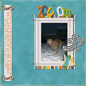 Zoom_.jpg