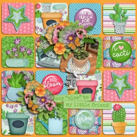 a_succulent_spring-ella.jpg