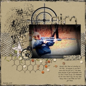 aim.jpg