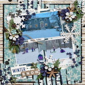 alchemywildstudio-twosidesseasonsv1-LEA.jpg