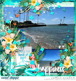 alchemywildstudio_kickstarterssummer22-1_psd_babe.jpg
