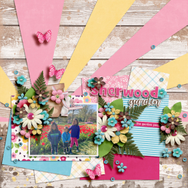 alchemywildstudio_kickstarterssummer22-vol2_LEA.jpg