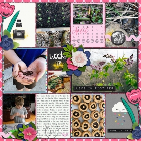 allyanne_12-Months-April-01.jpg