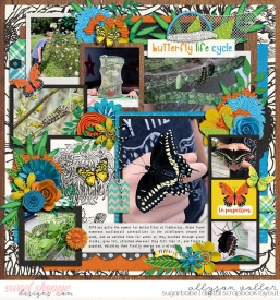 allyanne_ButterflySeason_palooza20_01_WM.jpg