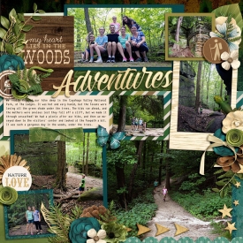 allyanne_Forest-Trails-01.jpg
