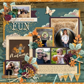 allyanne_SYS-Fall-01.jpg