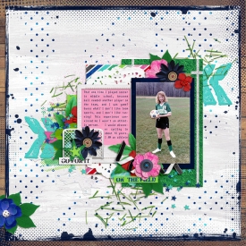 allyanne_SticksOntheField_01.jpg