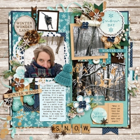 allyanne_WinterDays_01.jpg