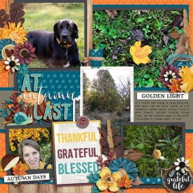allyanne_a-grateful-heart-02.jpg
