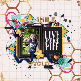 allyanne_yolo-01.jpg