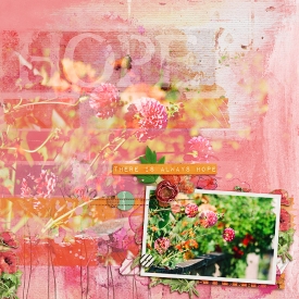 alwayshope-copy.jpg
